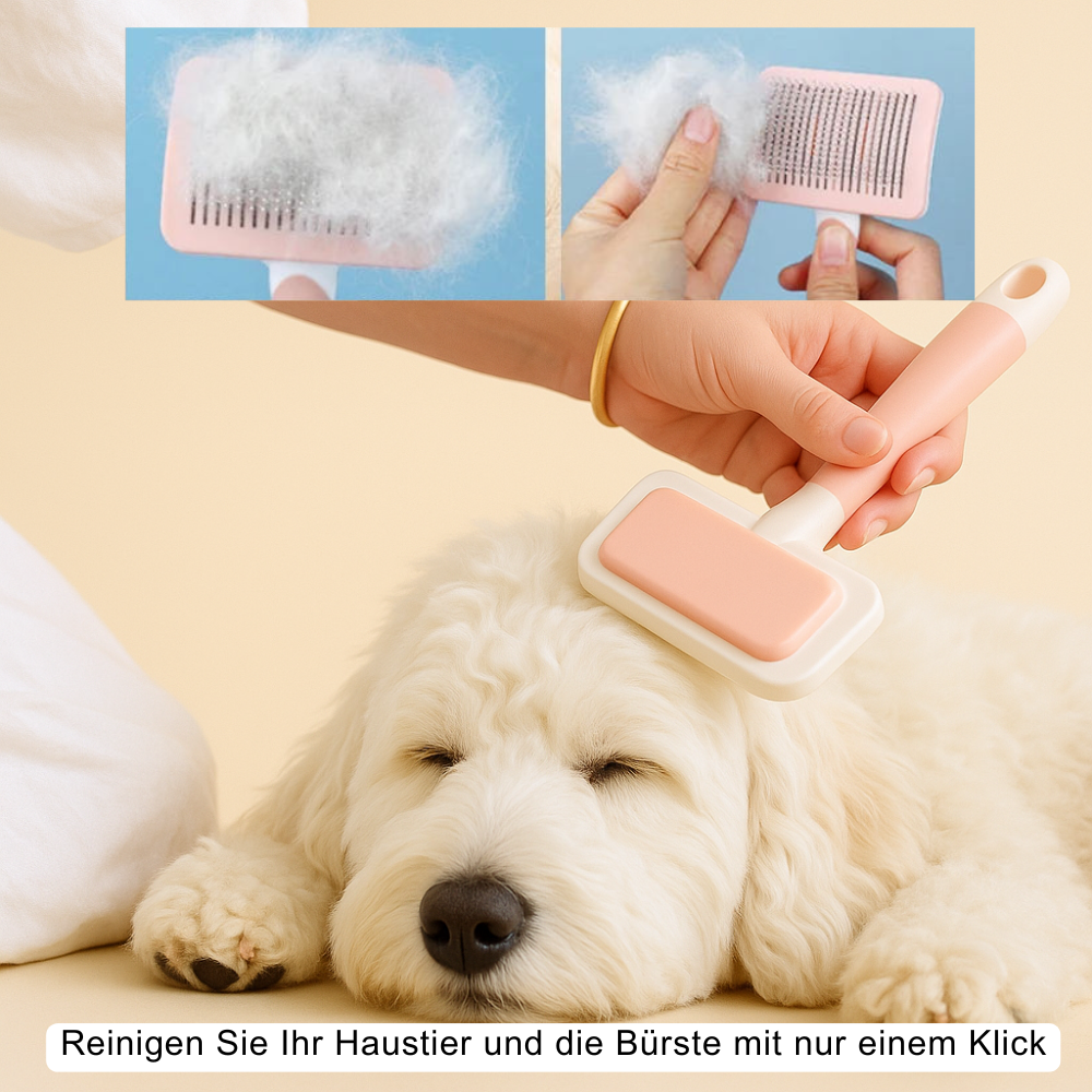 Brosse anti-poils auto-nettoyante Zenzooa™